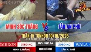 Trận 15 TonHon 10/10/2025 - Anh Minh Sóc Trăng Và Anh Tân An Phú