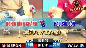 Trận 16 CPC6 11/10/2025 - Hai Con Ăn Miếng Trả Miếng Vô Trong Bỏ Miệng