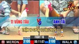Trận 16 CPC6 13/10/2025 - Đám Bướm Anh Ti Vũng Tàu Dập Như Máy Khâu