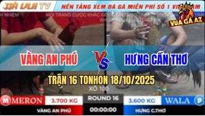 Trận 16 TonHon 18/10/2025 - Anh Hưng Cần Thơ Đi 2 Con Gãy Nguyên Cặp