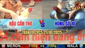 Trận 19 CPC5 21/10/2025 - Anh Hậu Cần Thơ Và Anh Hùng Số 10