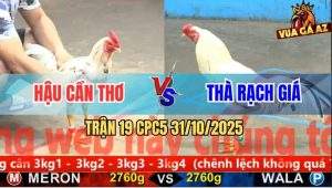 Trận 19 CPC5 31/10/2025 - Anh Hậu Cần Thơ Và Anh Thà Rạch Giá
