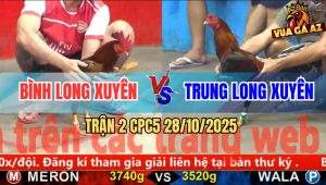 Trận 2 CPC5 28/10/2025 - Anh Bình Long Xuyên Và Anh Trung Long Xuyên