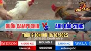 Trận 2 TonHon 10/10/2025 - Anh Tân Rạch Giá Và Anh Hiếu Phú Quốc