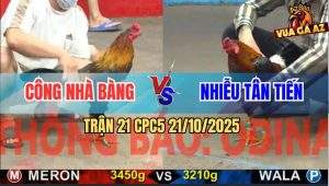 Trận 21 CPC5 21/10/2025 - Anh Công Nhà Bàng Và Anh Nhiễu Tân Tiến