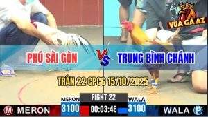 Trận 22 CPC6 15/10/2025 - Khét Đâm Bướm Anh Phú Chết Lúc Nào Không Hay