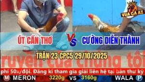 Trận 23 CPC5 29/10/2025 - Anh Út Cần Thơ Và Anh Cường Diễn Thành
