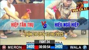 Trận 24 CPC6 12/10/2025 - Gà Anh Hiếu Ngũ Hiệp Đá Như Cây Đập