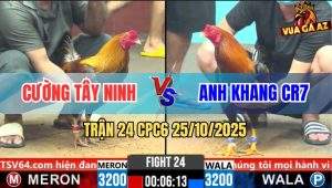 Trận 24 CPC6 26/10/2025 - Khét Đá Điều Cọp Anh Khang Té Lên Té Xuống