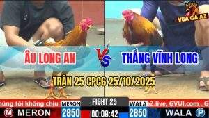 Trận 25 CPC6 26/10/2025 - Gà Vàng Đá Tay Nước Gà Điều Mất Tiêu Cái Bốp
