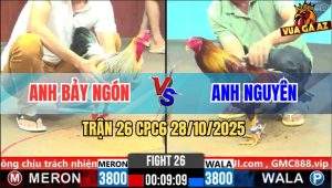 Trận 26 CPC6 28/10/2025 - Chuối Trắng Nhét Cây Xám Bể Bình Dầu Chạy