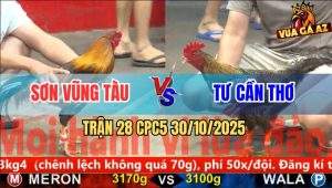 Trận 28 CPC5 30/10/2025 - Anh Sơn Vũng Tàu Và Anh Tư Cần Thơ