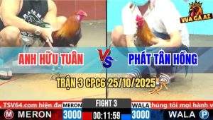 Trận 3 CPC6 26/10/2025 - Gà Điều Anh Hữu Tuân Đá Như Súng Bắn