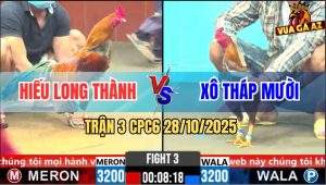 Trận 3 CPC6 28/10/2025 - Vàng Chân Trắng Quá Dầy Khét Đâm Không Thấm