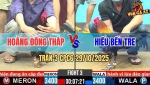 Trận 3 CPC6 29/10/2025 - Điều Chân Xanh Chụp Sút Cây Hiểm Đỏ Lật Xe