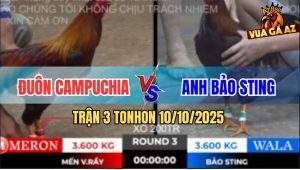 Trận 3 TonHon 10/10/2025 - Anh Bảo Sting Mở Bát Lụm Cái Xổ 200 Quá Đẹp