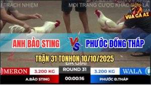 Trận 31 TonHon 10/10/2025 - Anh Bảo Sting Được 6 Điểm Sau 2 Vòng Đấu
