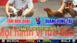 Trận 32 CPC5 22/10/2025 - Anh Tâm Nhà Bàng Và Anh Quang Vũng Tàu
