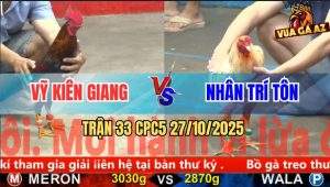 Trận 33 CPC5 27/10/2025 - Anh Vỹ Kiên Giang Và Anh Nhân Trí Tôn