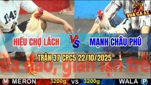 Trận 37 CPC5 22/10/2025 - Anh Hiếu Chợ Lách Và Anh Mạnh Châu Phú