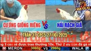 Trận 37 CPC5 27/10/2025 - Anh Cường Giồng Riềng Và Anh Hải Rạch Giá