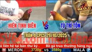 Trận 4 CPC5 29/10/2025 - Anh Hiền Tịnh Biên Và Anh Tú Trí Tôn