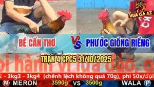 Trận 4 CPC5 31/10/2025 - Anh Bé Cần Thơ Và Anh Phước Giồng Riềng