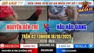 Trận 42 TonHon 18/10/2025 - Anh Bảo Sting Cuối Ngày Càn Quét Sạch Bồ