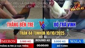 Trận 44 TonHon 10/10/2025 - Thắng Bến Tre Cáp Ngông Vừa Vô 2 Đá Gãy Cổ