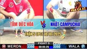 Trận 5 CPC3 18/10/2025 - Anh Tâm Đức Hòa Và Anh Nhật Campuchia