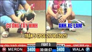 Trận 5 CPC6 27/10/2025 - Điều Bông Anh Xe Lam Đâm Cựa Như Chỉa