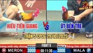 Trận 5 CPC6 29/10/2025 - Mẻ Điều Chân Xanh Anh HIếu Đá Lớp 1 Lúa Về