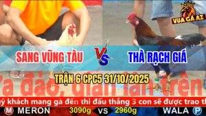 Trận 6 CPC5 31/10/2025 - Anh Sang Vũng Tàu Và Anh Thà Rạch Giá