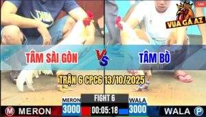 Trận 6 CPC6 13/10/2025 - Bướm Anh Tâm Bò Đá Như Sam Sít Úa Ói Nằm Đống