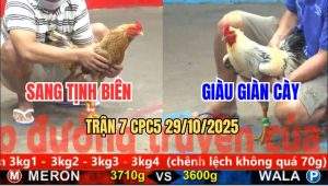 Trận 7 CPC5 29/10/2025 - Anh Sang Tịnh Biên Và Anh Giàu Giàn Cày