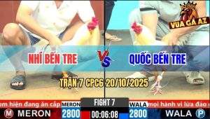 Trận 7 CPC6 20/10/2025 - Bướm Mặt Râu Dính Chưởng Đập Canh Chịu Thua