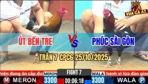 Trận 7 CPC6 25/10/2025 - Điều Xanh Có Chân Rùa Về Bờ An Toàn