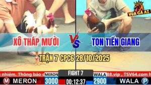 Trận 7 CPC6 28/10/2025 - Camelo Bị Chụp Đá Cây Nghiệt Ói Chết Tươi