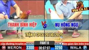 Trận 8 CPC6 20/10/2025 - Điều Chân Xanh Đâm Úa Hiệu Anh Nu Xì Cơm