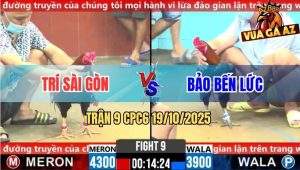 Trận 9 CPC6 19/10/2025 - Gà Điều Anh Trí Ngoại Hạng Đá Lẹ Như Tép Nhảy