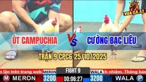 Trận 9 CPC6 26/10/2025 - Bướm Đá Quá Đâm, Úa Chân Xanh Dính Banh Tủ