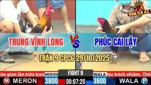 Trận 9 CPC6 29/10/2025 - Anh Trung Và Anh Phúc Bất Phân Thắng Bại