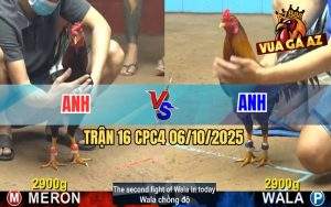 Trận 16 CPC4 6/10/2025