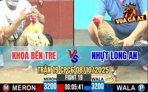 Trận 19 CPC6 8/10/2025