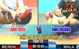 Trận 22 CPC6 5/10/2025