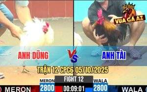 Trận 12 CPC6 5/10/2025