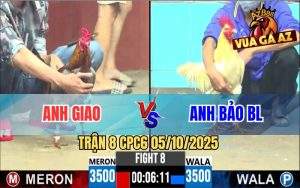 Trận 8 CPC6 5/10/2025