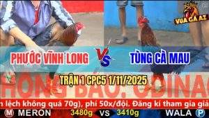 Trận 1 CPC5 1/11/2025 - Anh Phương Vĩnh Long Và Anh Tùng Cà Mau