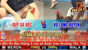 Trận 10 CPC5 17/11/2025 - Gà Úa Anh Quý Đá Bông Lụi Tàn Nhanh Gọn