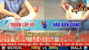 Trận 10 CPC5 18/11/2025 - Úa Anh Thuận Hạ Knock-Out Bướm Ngay Tăng Đầu